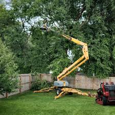  Watervliet, MI Tree Removal Services Pros